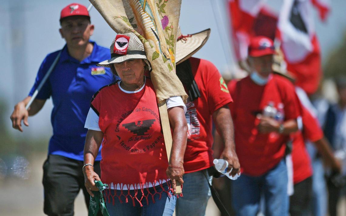 Lourdes Cardenas, center, leads the marchers between Parlier and Calwa during the UFW’s March For The Governor’s Signature segment on Aug. 11, south of Fresno.