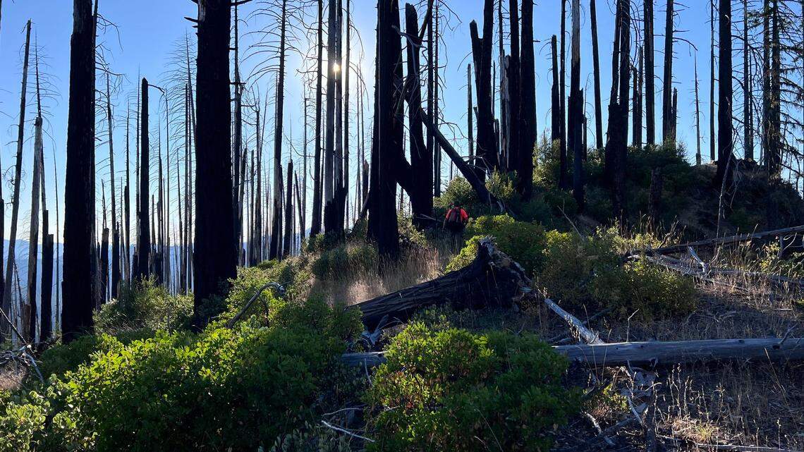 Hikers were rescued from the Boulder Creek Wilderness area in a 19-hour mission.