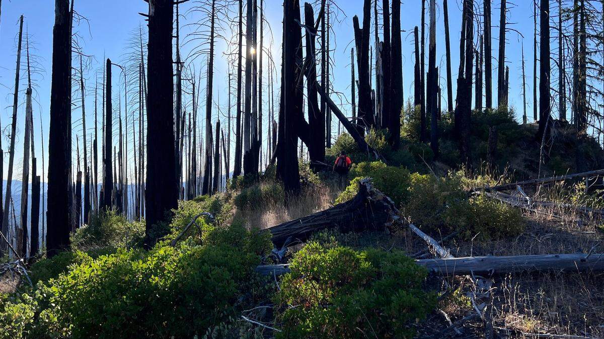 Hikers were rescued from the Boulder Creek Wilderness area in a 19-hour mission.