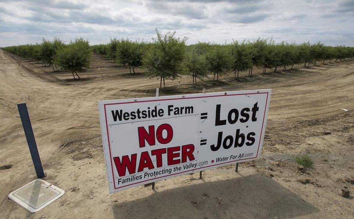 A sign on farmer Dan Errotabere’s land in the Westlands Water District west of Fresno decries the lack of water during the drought in 2015. Going on a second year without receiving any surface water, he said he was relying on groundwater to keep his crops growing, and fallowing about a third of his land.