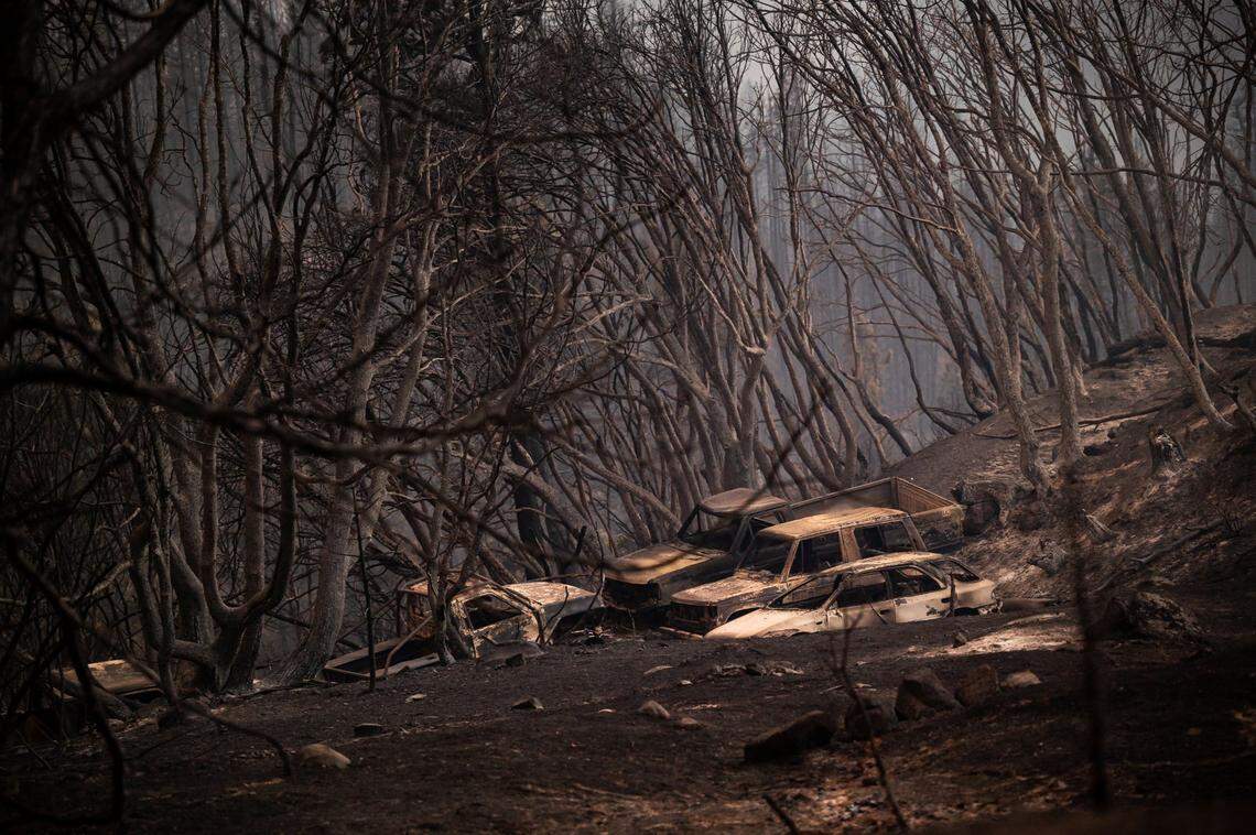 Burned cars and trees are seen off Michigan Bluff Road on Thursday, Sept. 8, 2022, scorched by the Mosquito Fire in Placer County.
