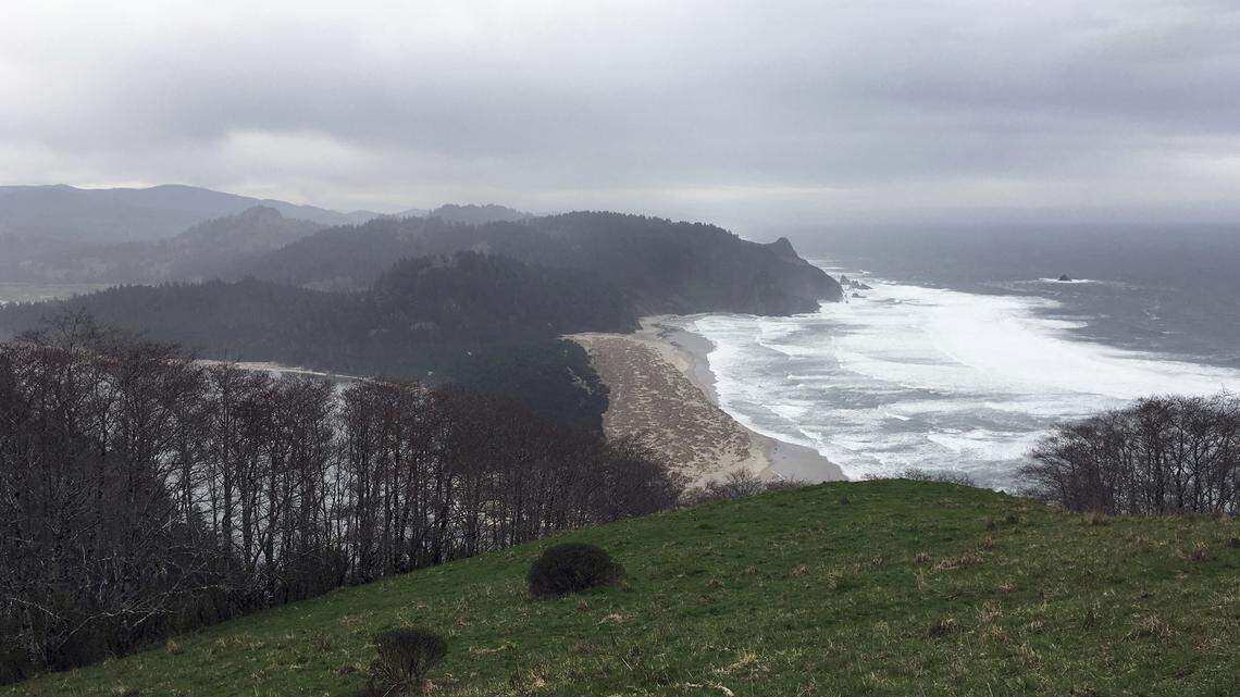 The Oregon coast and Pacific Ocean is seen from Cascade Head near Otis, Ore., in 2017.