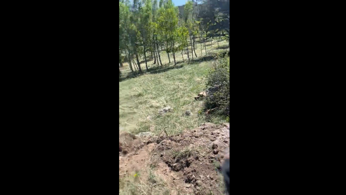 A mountain lion killed a pet cat and hung out around the owner’s Colorado home, until wildlife officers arrived to deal with it, officials said.