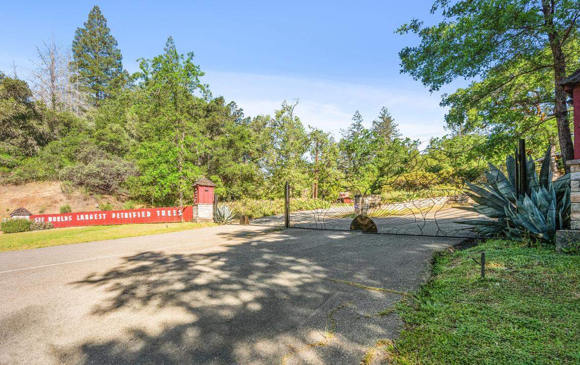 A 500-acre Petrified Forest and estate in Northern California’s wine country is for sale for nearly $10 million.