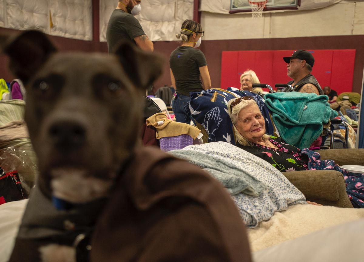 Paradise evacuee Patty Saunders, 89, looks at her friend’s dog Max at East Ave Church in Chico on Friday.
