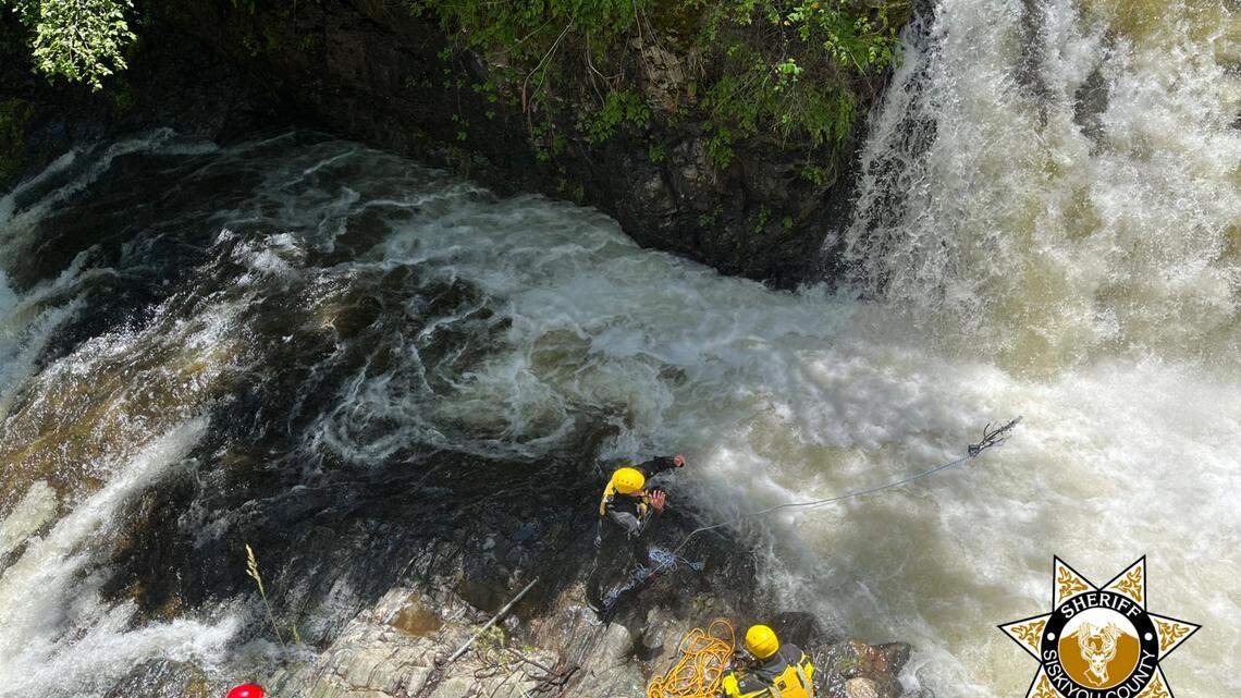 Rescuers searched for a man who was pulled under by a strong current while trying to save his dogs.