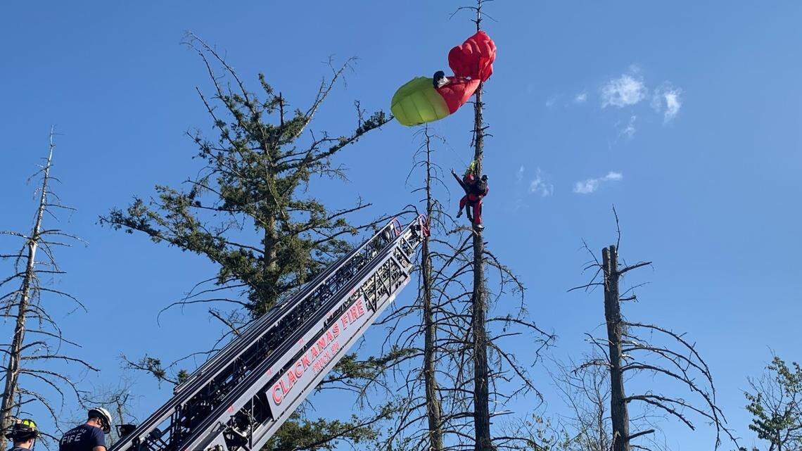 A parachutist was found dangling 40 feet in the air in Oregon.