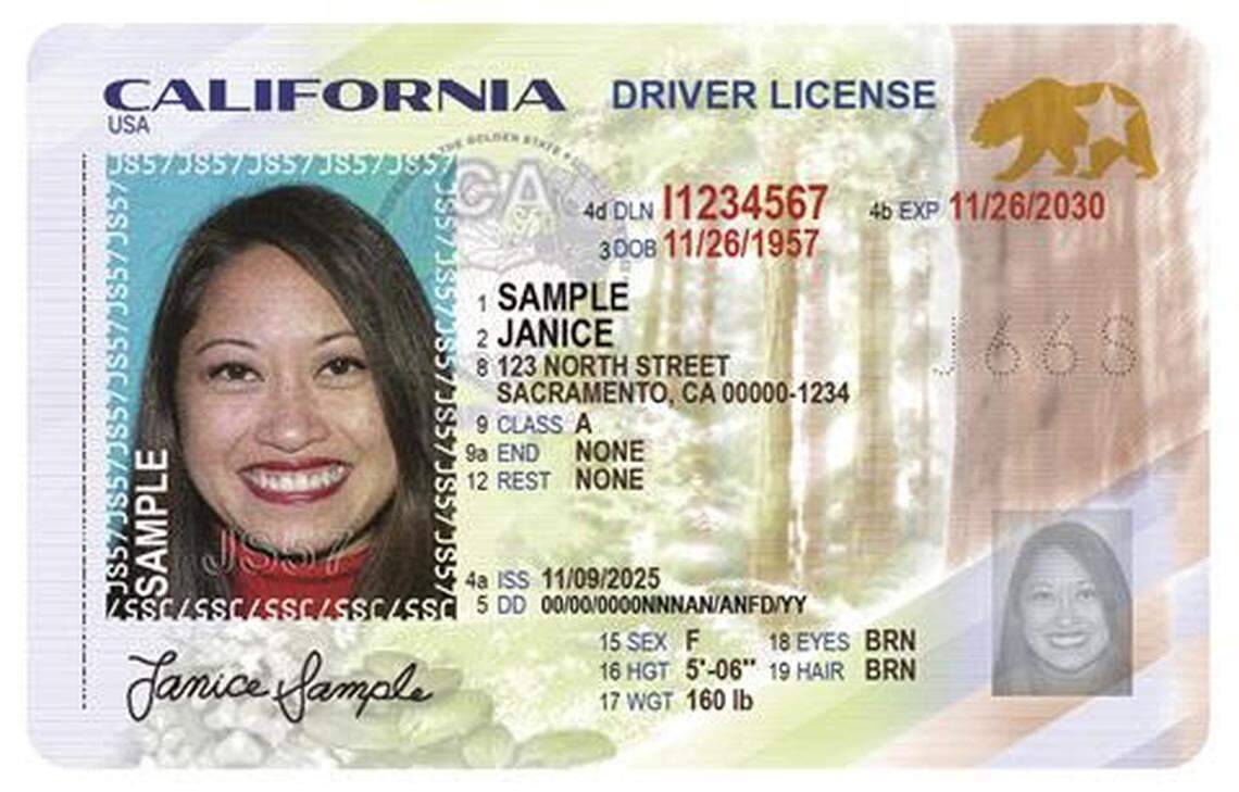 The Department of Motor Vehicles rolled out redesigned driver’s licenses and identification cards on Oct. 1, 2025. The new cards have additional security features and highlight scenes central to California’s aesthetic, including depictions of redwoods, poppies and the coast.