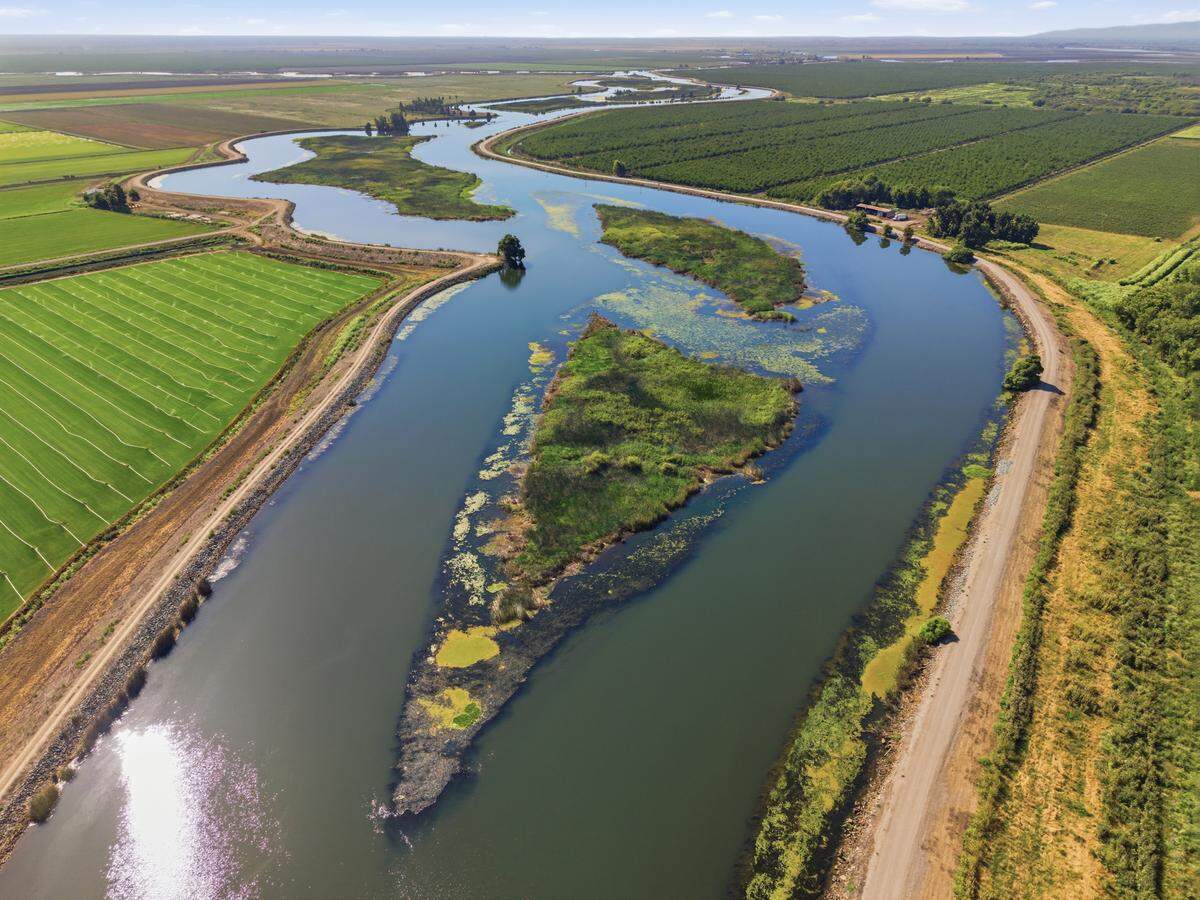 This 5.6-acre private island in the San Joaquin Delta near Stockton is for sale for $39,000.