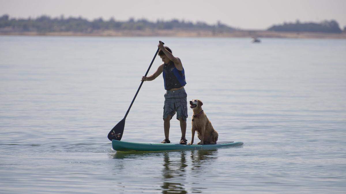 Alex LoRussa, cq, 18 and Kalani, Golden Retriever ride a paddle board for the first time  at Folsom Lake in in 2014.
