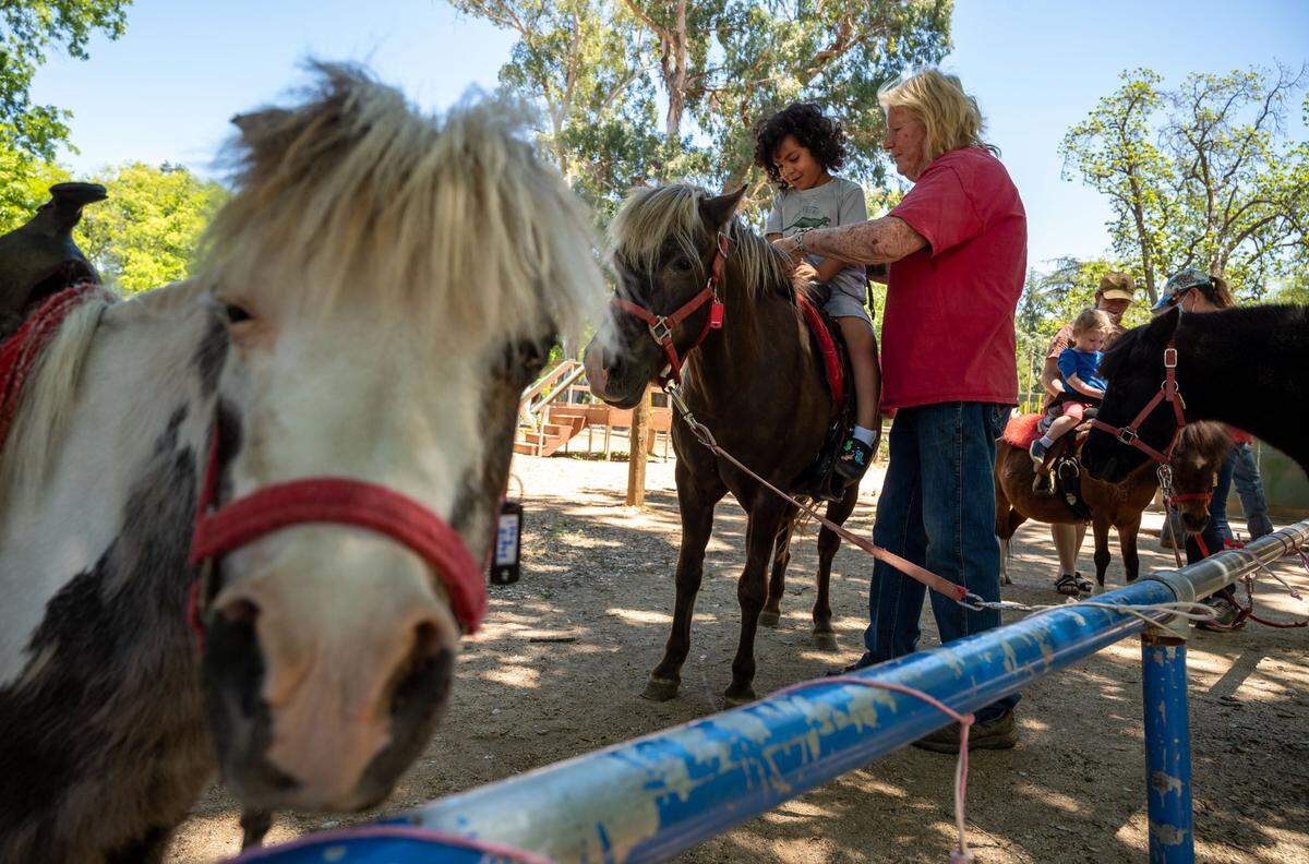 Marilyn Hagemann, owner of Land Park Pony Rides, helps Malachi Richardson, 4, of Sacramento, onto Hotshot for a ride on the last day of operations for the longtime attraction Monday at William Land Park in Sacramento.