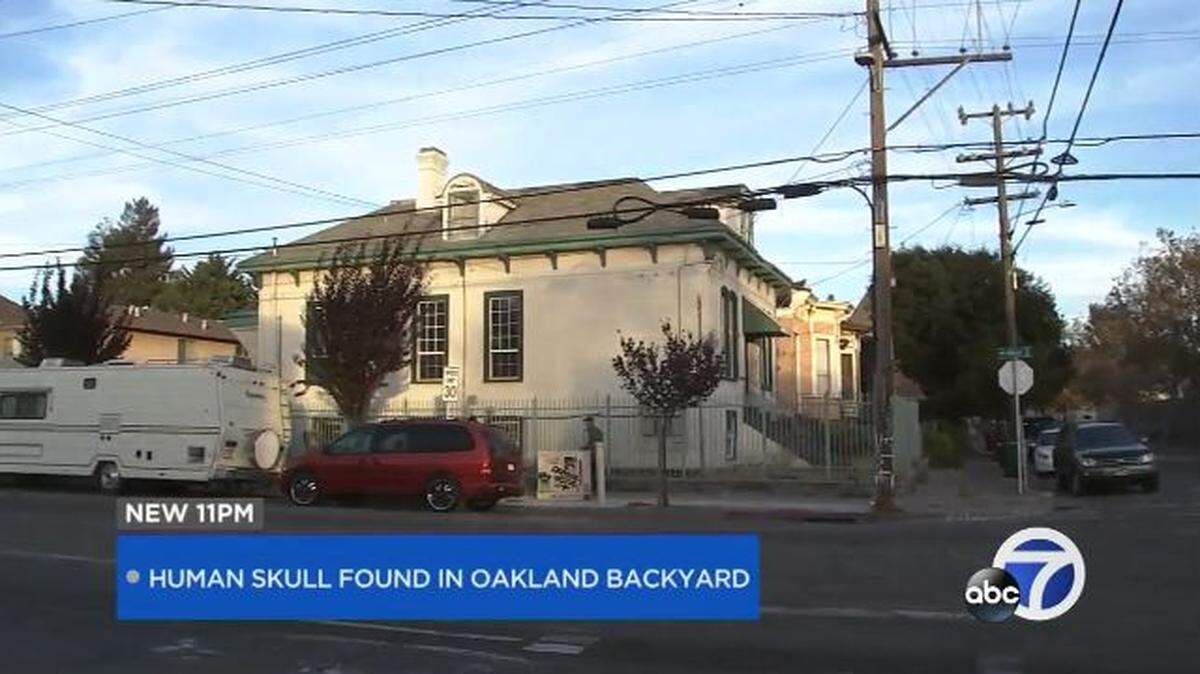 Two visitors to an Oakland apartment complex found a decaying human head in the back yard and delivered it to a police station to be investigated, officers say. A headless corpse was recently found nearby.