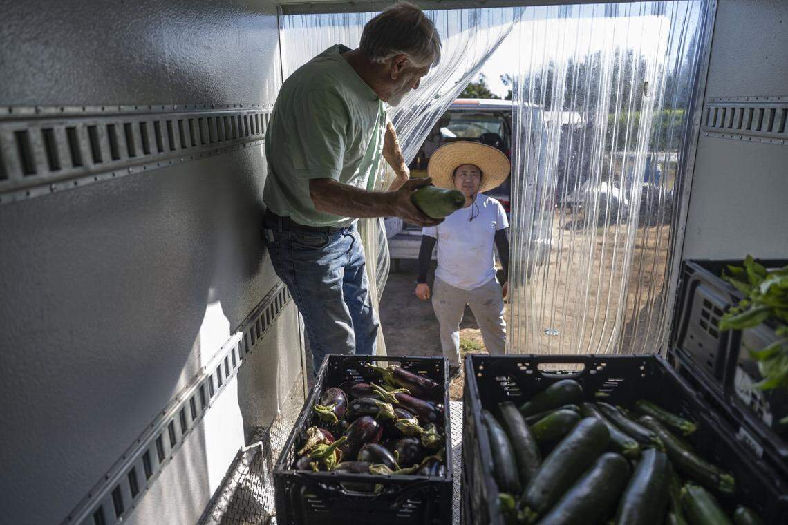Farms Together’s Steven Dambeck holds a freshly cut luffa, which can be eaten as a vegetable or used as sponge, earlier this month as he collects produce from Marysville farmer Saen Lor.
