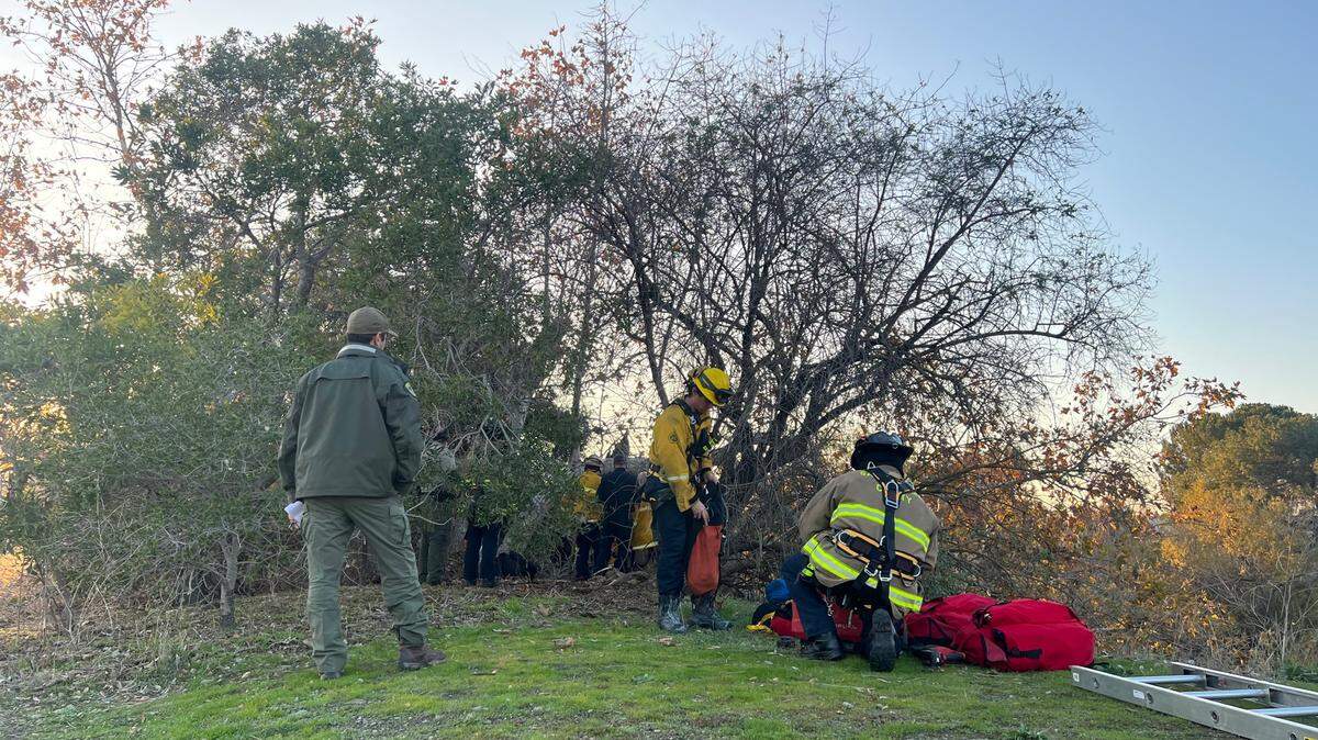 Santa Clara firefighters rescued a girl who became stuck inside a hollow tree while exploring a trail, California officials say.