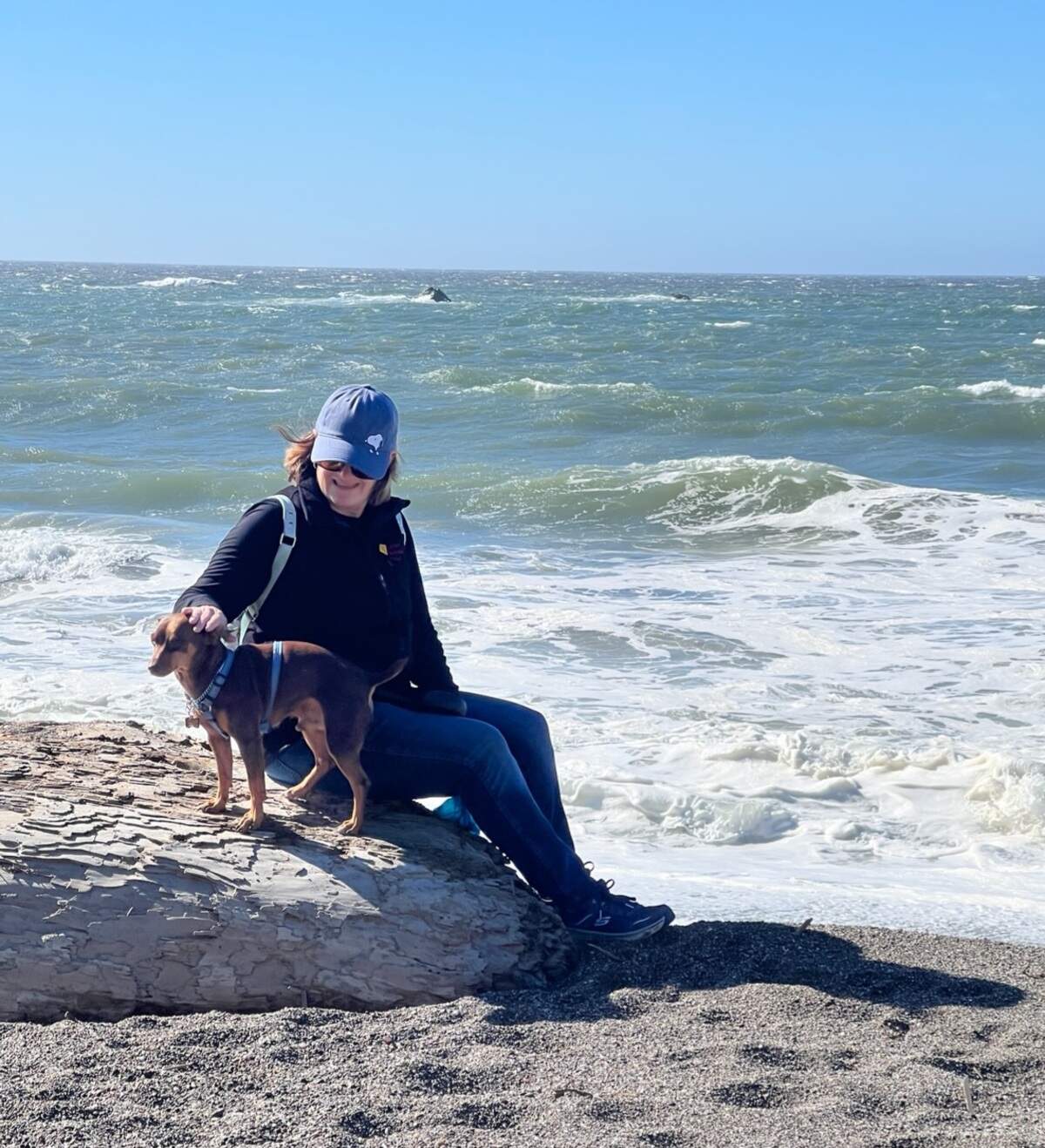 Biscuit, the winner of The Sacramento Bee’s cutest dog competition, and his owner Linda Henry are pictured here at Wright’s Beach in Sonoma County.