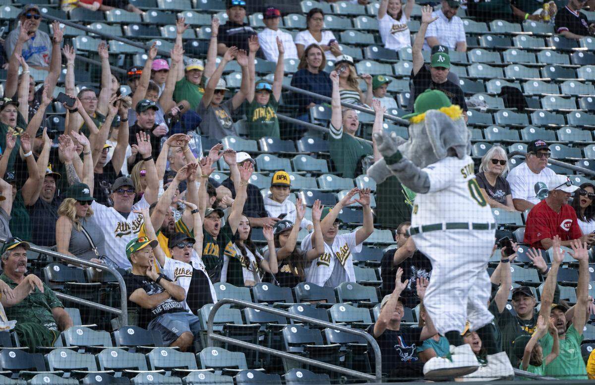 Athletics mascot cheers on the crowd during a power outage before the game at Sutter Health Park on Saturday, September 13, 2025, in West Sacramento. Barry Zito, Mark Mulder, Tim Hudson, and Monte Moore were inducted into the Athletics Hall of Fame.