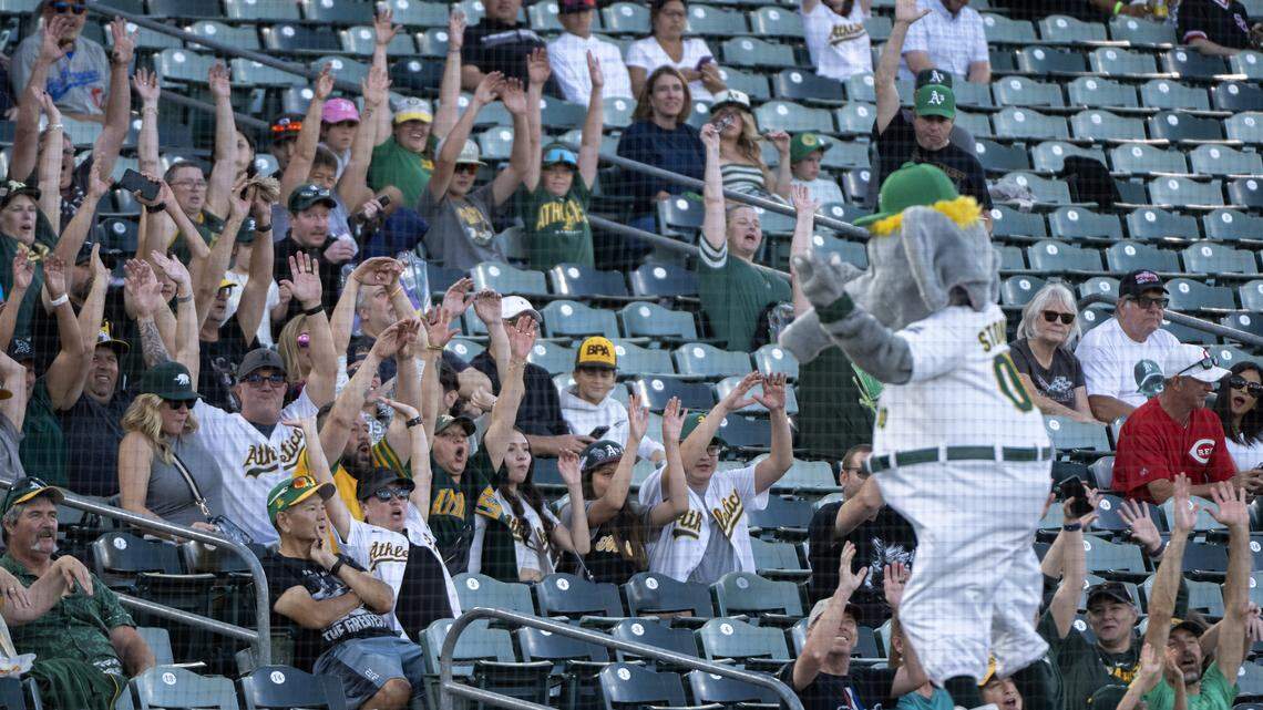 Athletics mascot cheers on the crowd during a power outage before the game at Sutter Health Park on Saturday, Sept. 13, 2025, in West Sacramento. Barry Zito, Mark Mulder, Tim Hudson, and Monte Moore were inducted into the Athletics Hall of Fame. The team will honor its 2026 class Sept. 12 at Sutter Health Park.
