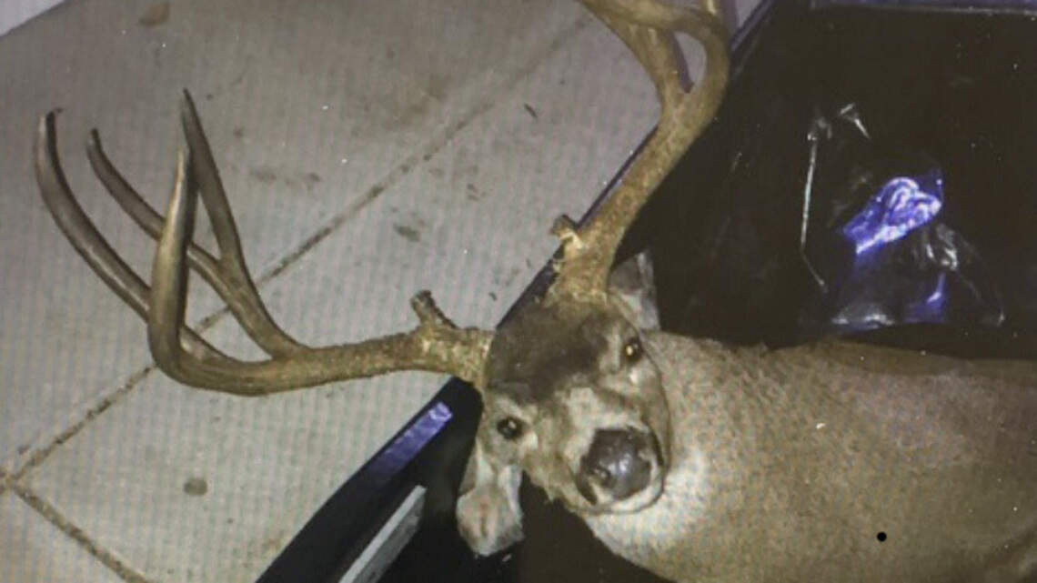 California man killed a trophy deer on his rural property. Now he’s facing a huge penalty