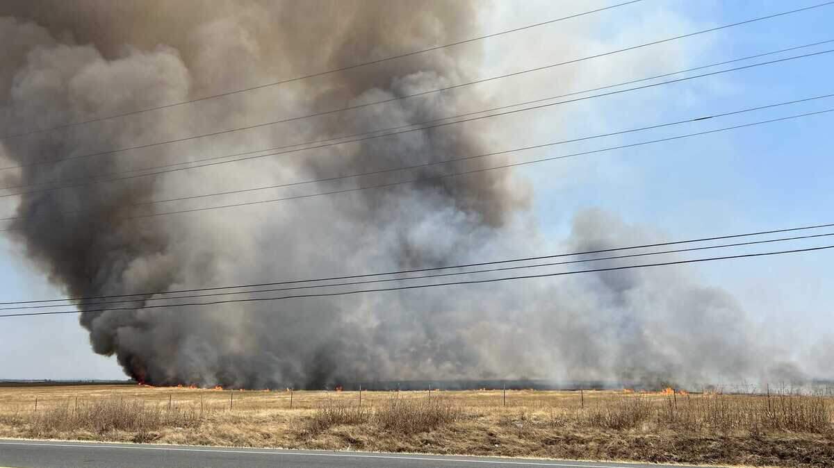 The Athens Fire was burning dry grass with “a dangerous rate of spread,” Friday afternoon July 12, 2024 after flames spread from a vehicle at Athens Avenue near Fiddyment Road in Placer County, California.