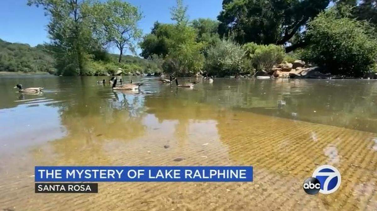 A video shows a huge, invasive creature in Lake Ralphine at a Santa Rosa park in California.