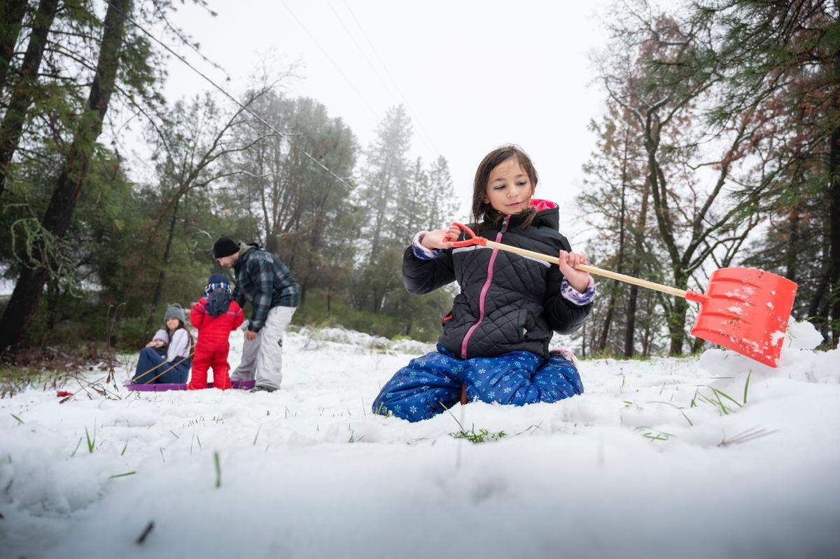 Hadleigh Caron, 8, of Carmichael, shovels snow as her family sleds in the snow near Applegate on Monday, Dec. 27.
