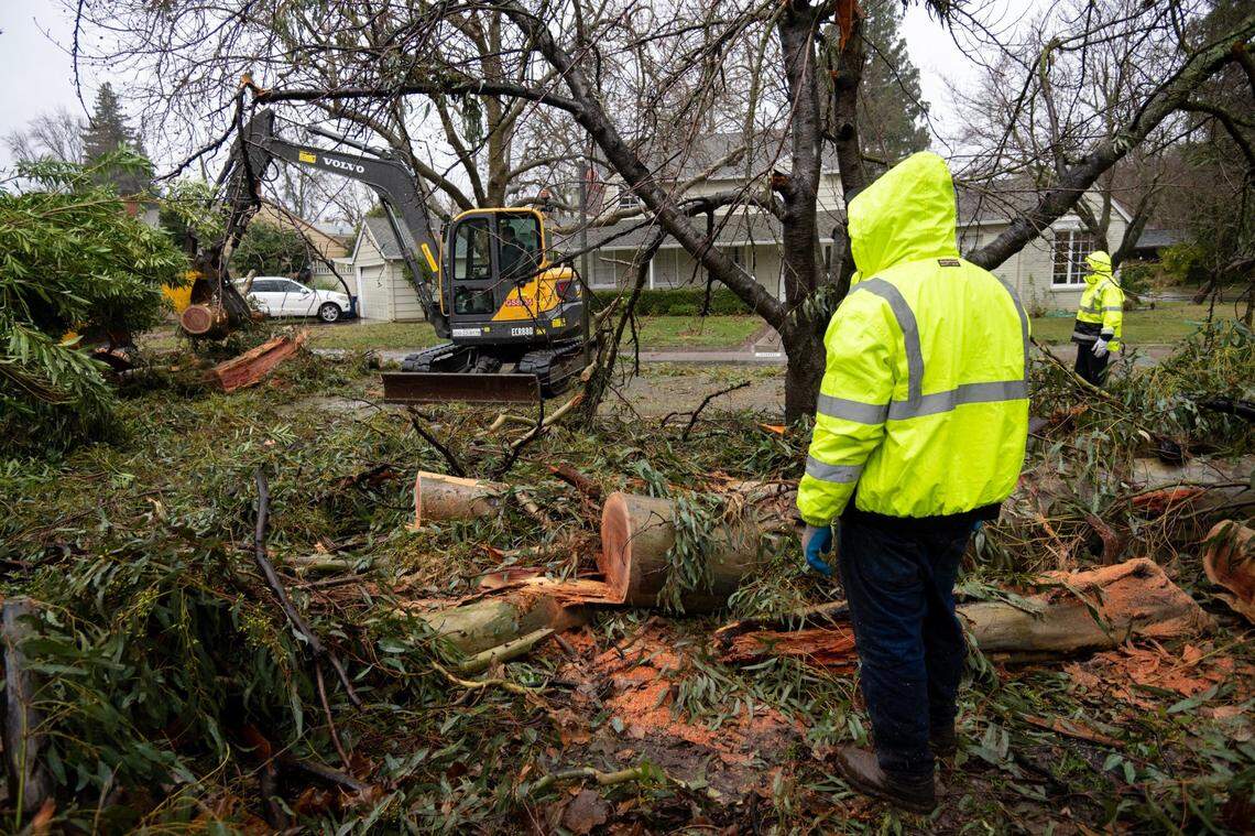 Sacramento City workers remove a storm damaged tree in Land Park in Sacramento on Thursday.