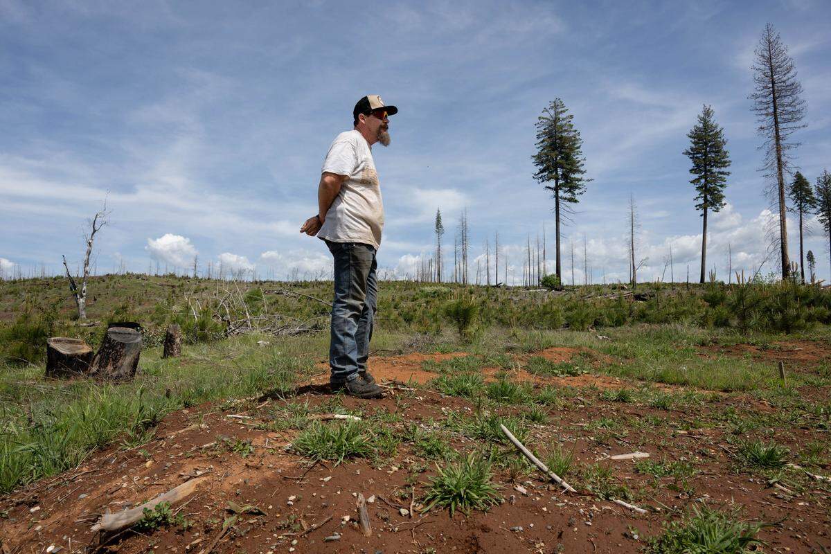 Ben Aubry stands May 1 on the site where his home once stood in Grizzly Flats before the 2021 Caldor Fire. The family’s 600-acre property was largely burned in the fire.
