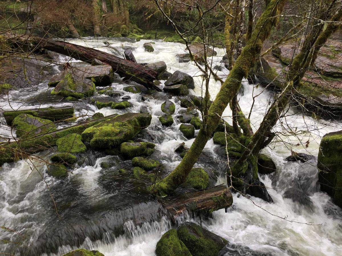 Oregon’s Lake Creek Falls, near Triangle Lake, is seen in March 2016. The wilderness area has been a popular swimming and picnicking spot since the early 1900s, according to the Bureau of Land Management, which maintains the site. BLM officials, however, caution visitors that swimming in the swift, shallow water near the falls can be extremely risky.