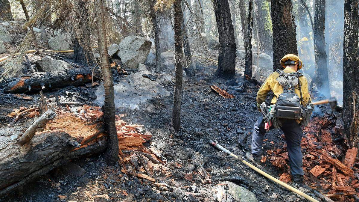 El Dorado County deputies arrested a woman on Wednesday on suspicion of setting a fire near Echo Summit.