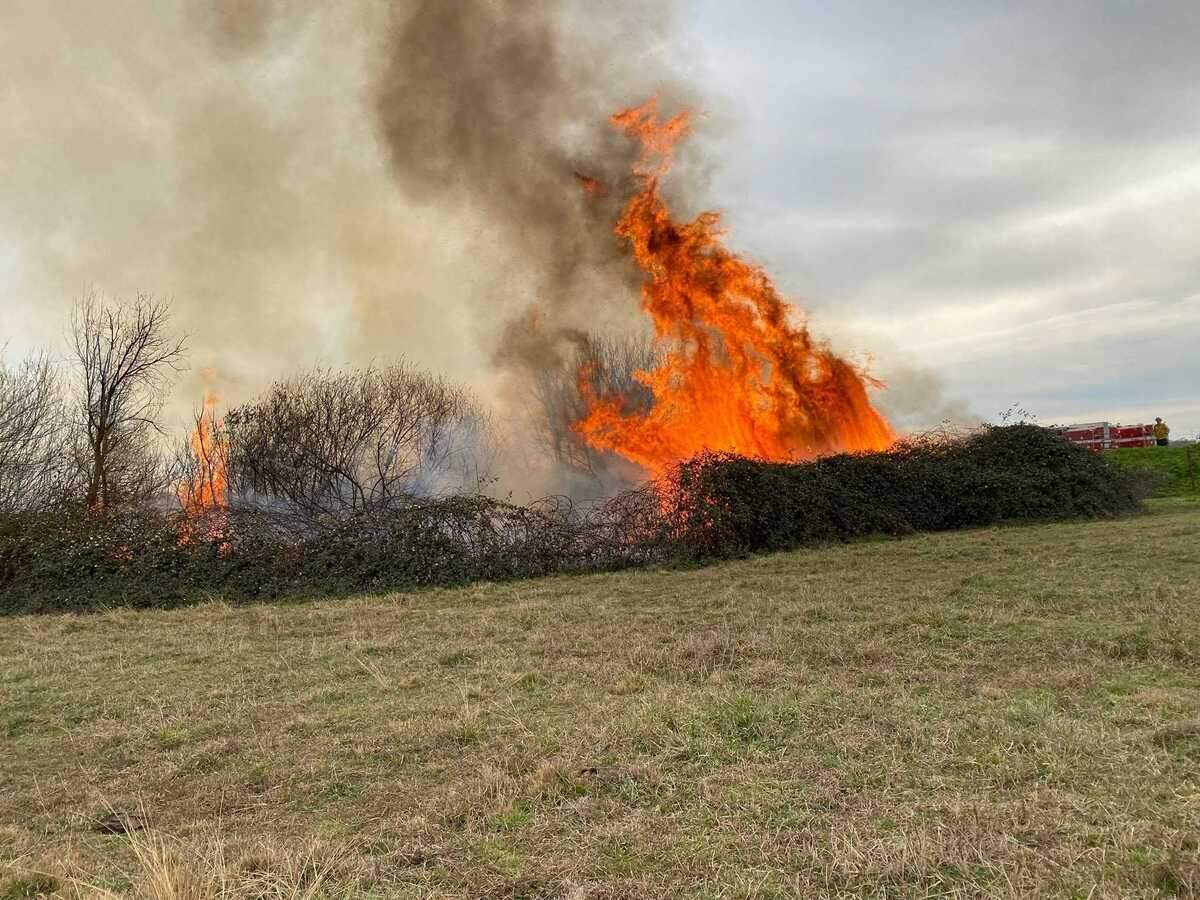 Cal Fire has suspended residential burn permits in Sacramento and 41 other California counties as hot, dry weather increased wildfire risk.
