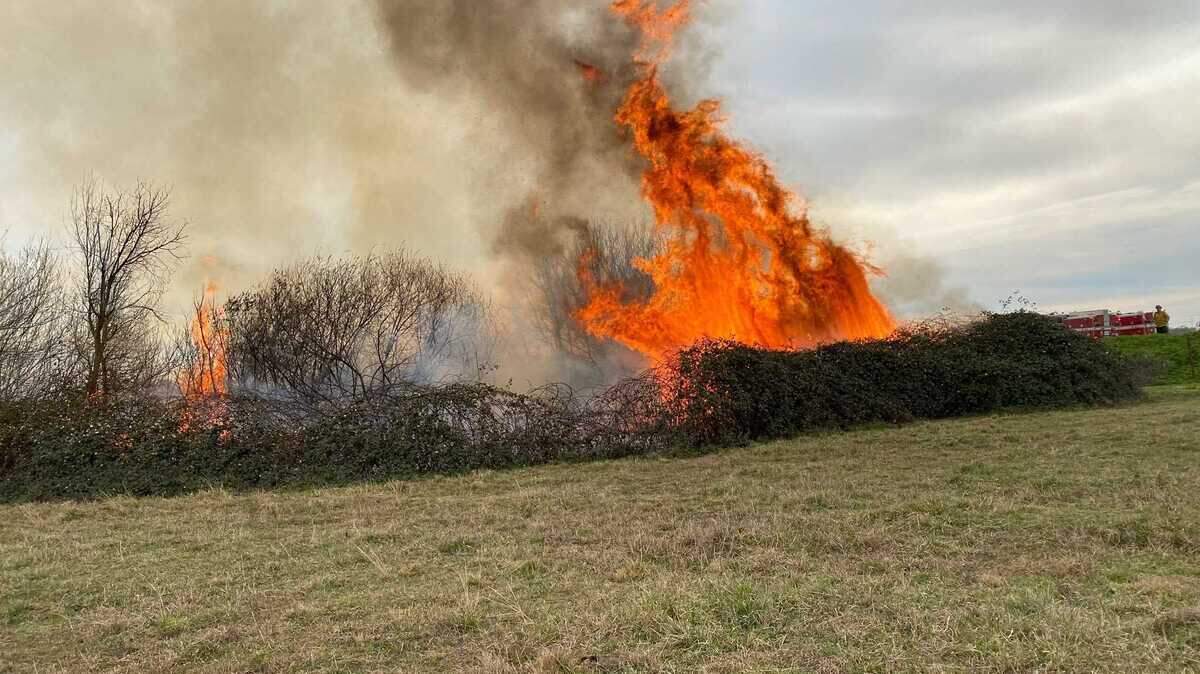 A fire stemming from a burn pile Saturday along Grant Line Road southeast of Elk Grove charred 3 acres before firefighters contained the blaze. No injuries or damage to structures were reported.