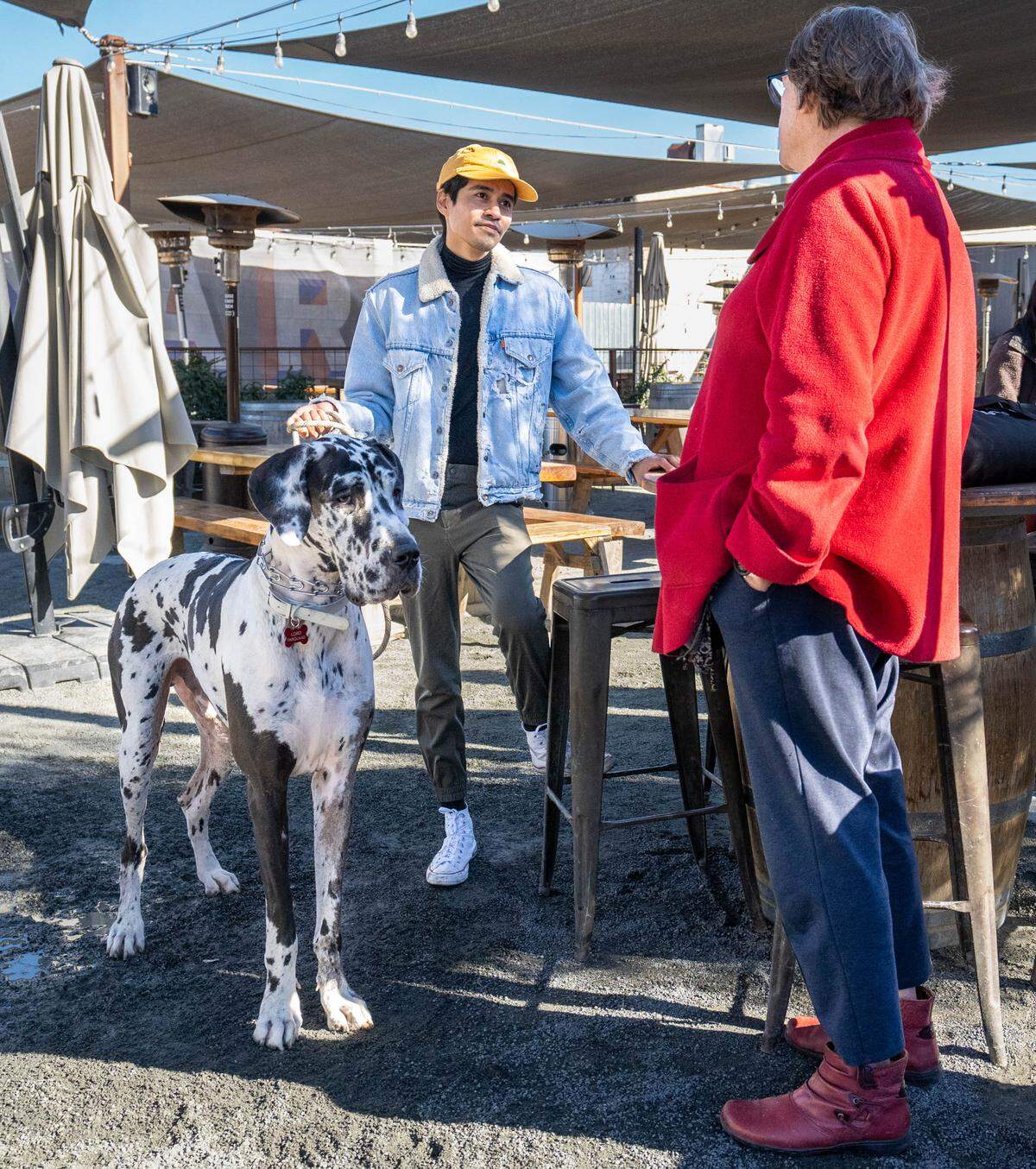 Raul Garcia and his dog Lord Farquaad are at the Sacramento Great Danes Facebook group meet-up at SacYard Community Tap House and Beer Garden on Sunday.
