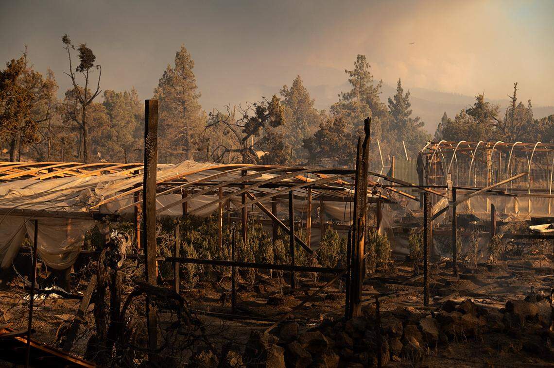 Damage to Hmong marijuana farmers’ greenhouses is seen during the Lava Fire on Tuesday, June 29, 2021, outside of Weed in Siskiyou County.