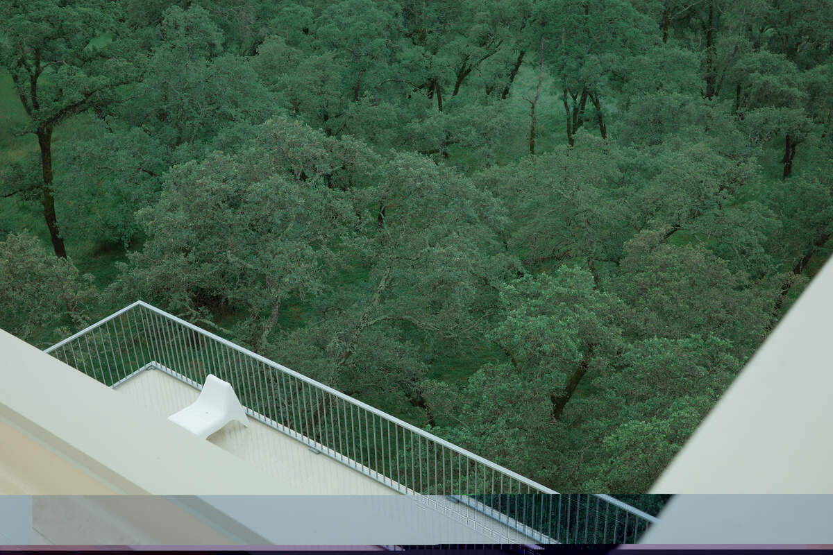 The home was constructed to blend into the hillside and play off of the tree canopy so it almost feels like a tree house from rooftop to ground level.