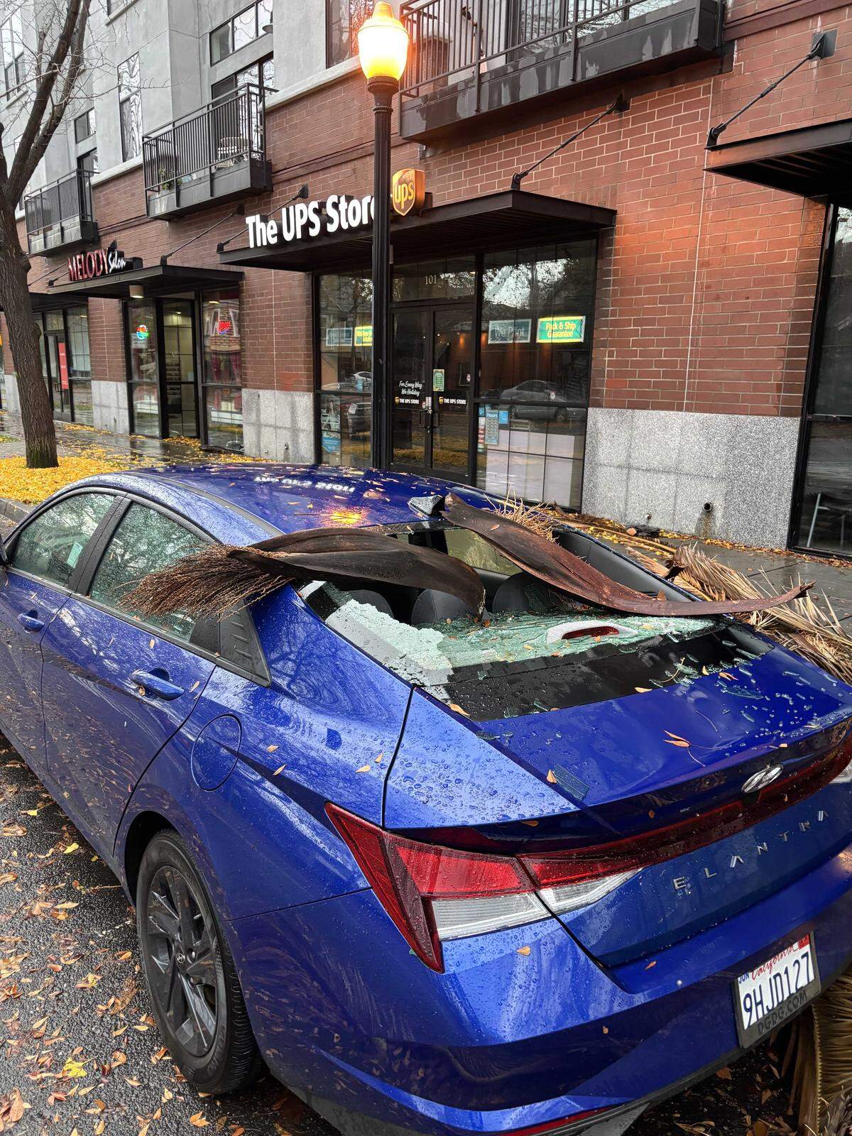A palm frond rests on the shattered rear window of a parked vehicle on S Street between 18th and 19th streets in midtown Sacramento on Wednesday, Dec. 24, 2025. Fallen debris from trees damaged several vehicles in the area as wind and rain moved through the city overnight into Christmas Eve. More severe weather was expected in the evening.