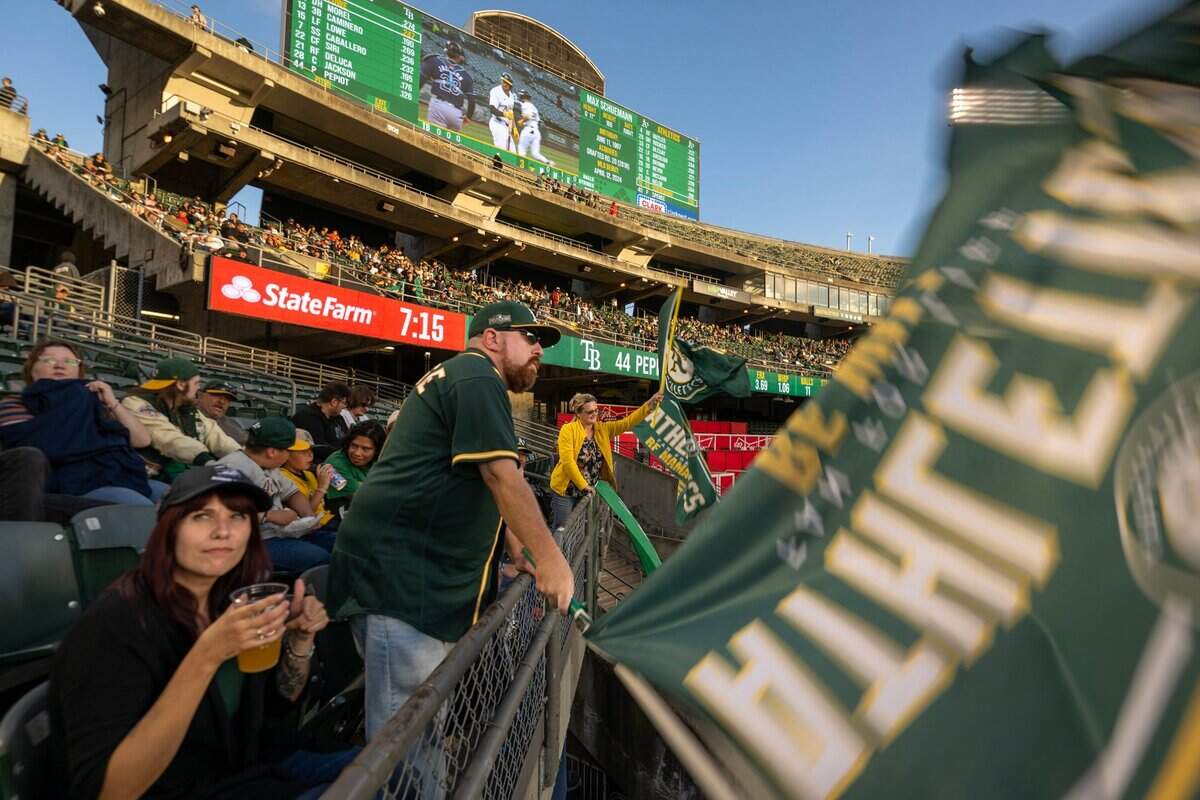 Will MacNeil, a 20-year season ticket holder, waves a flag every time an A’s player comes to bat, during a game Aug. 21 against the Tampa Bay Rays at the Oakland Coliseum.