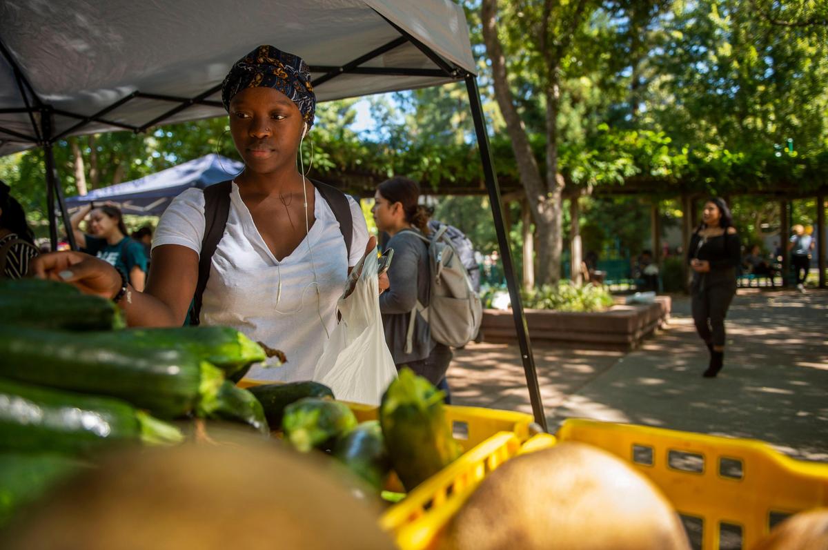 Student Clara Mbumba visits the pop up food pantry at the Sacramento State quad on Sept. 23. Mbumba has experienced food insecurity at her time at Sacramento State. “It still has an effect on me – not knowing when I’ll have my next meal,” Mbumba said.