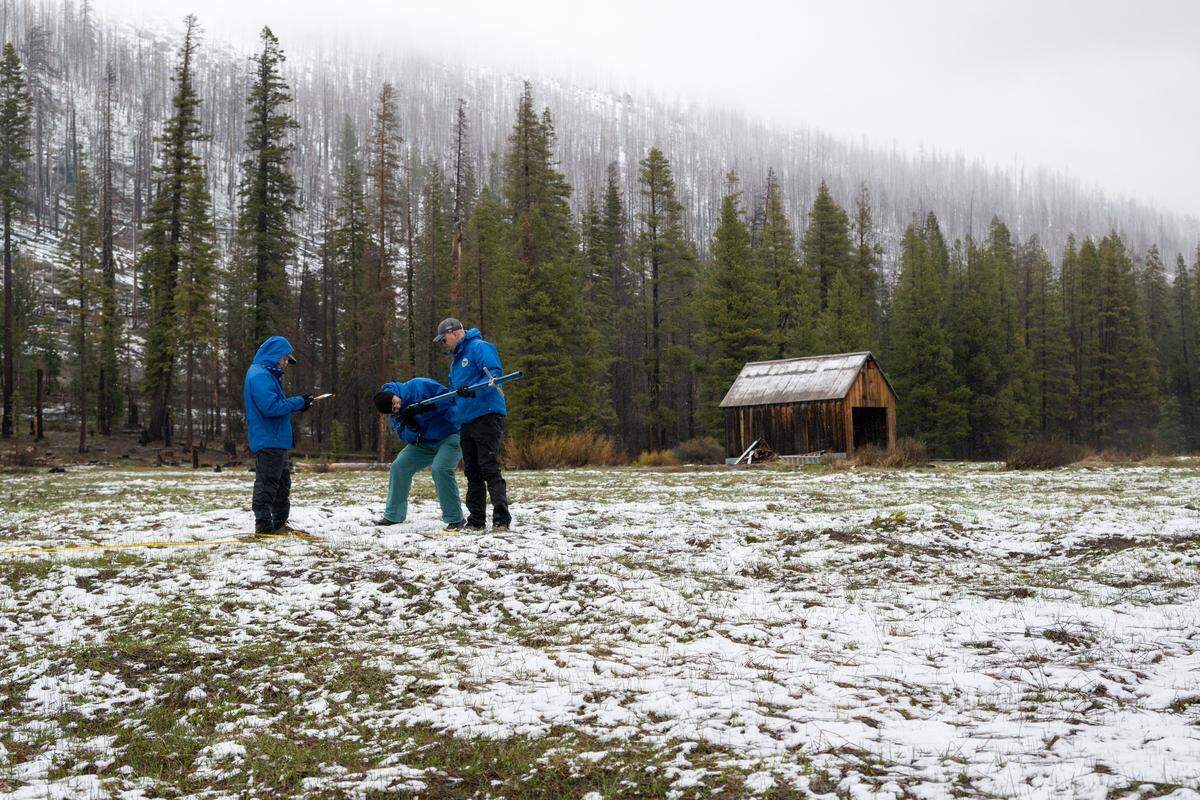 DWR staff Andy Reising, Jim Shannon and Jacob Kollen found a measurement of 0 inches of snow during the California Department of Water Resources snow survey at Phillips Station on Wednesday, April 1. This is the second-lowest measurement since 2015 during snow survey at the Phillips Station in the Sierra Nevada.
