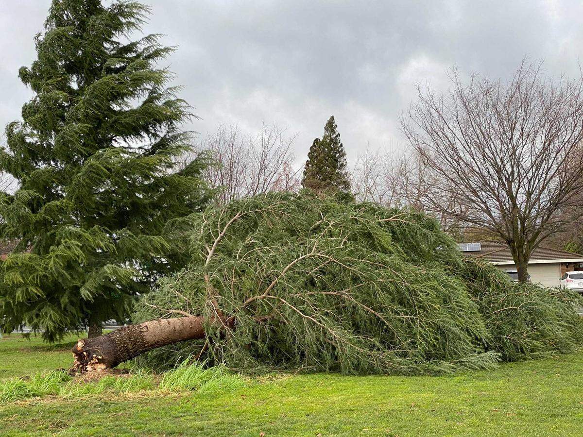 Storm damage is seen Wednesday, Jan. 27, 2021, on American River Drive in Carmichael, Calif., after a fierce winter storm barreled across the Sacramento region.