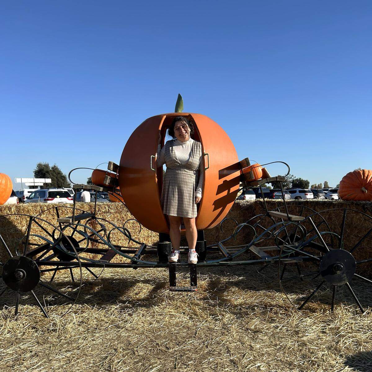 Bobby Dazzler’s Pumpkin Patch in Woodland features plenty of photo opportunities.