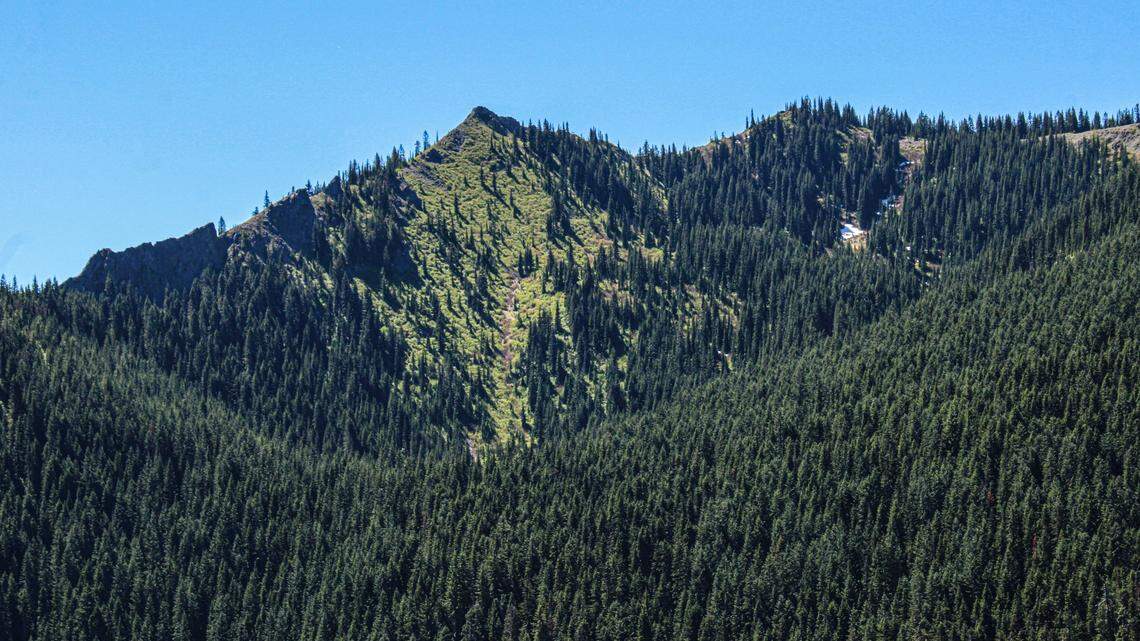 Two men were found dead in Gifford Pinchot National Forest after going out to search for Sasquatch.