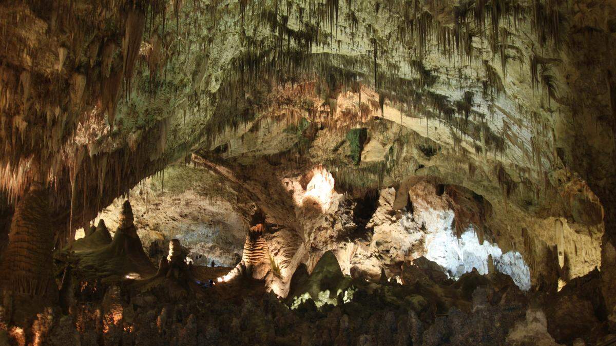 Floods closed roads at Carlsbad Caverns National Park, stranding about 200 people at the visitor center until they could be evacuated, New Mexico officials say.