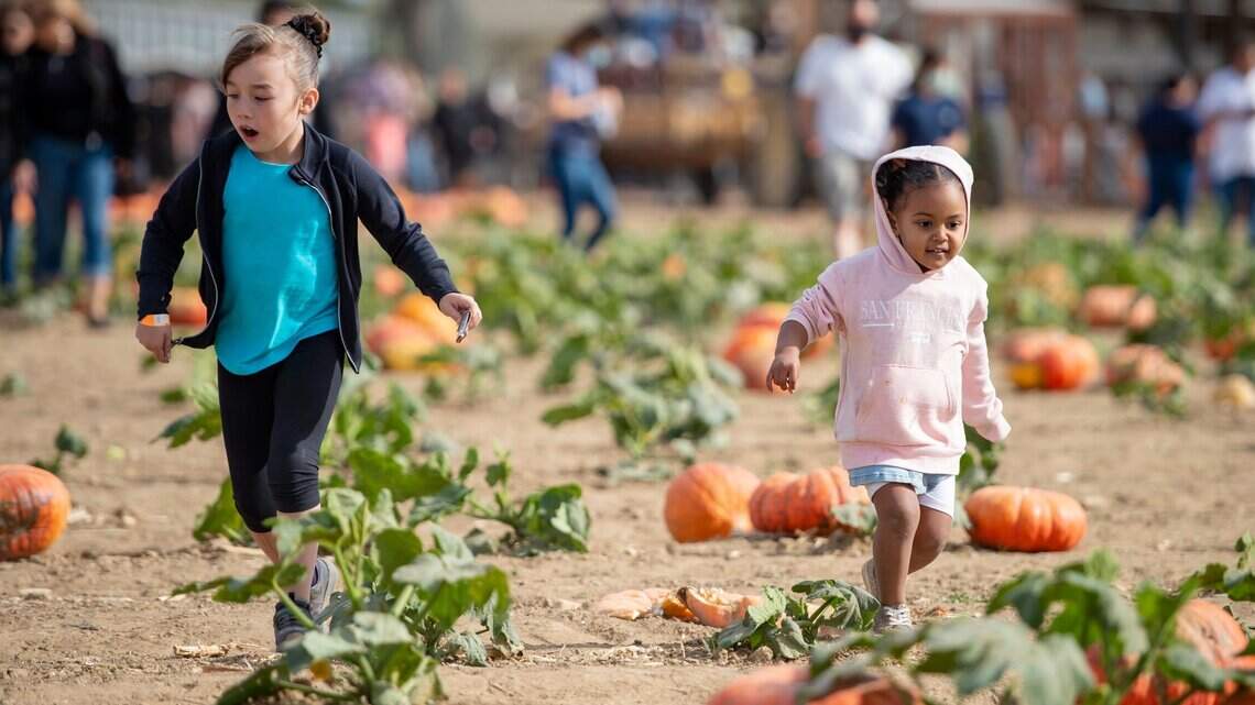 Haunted houses, pumpkin patches and spooky events in Sacramento: Here’s your guide to fall