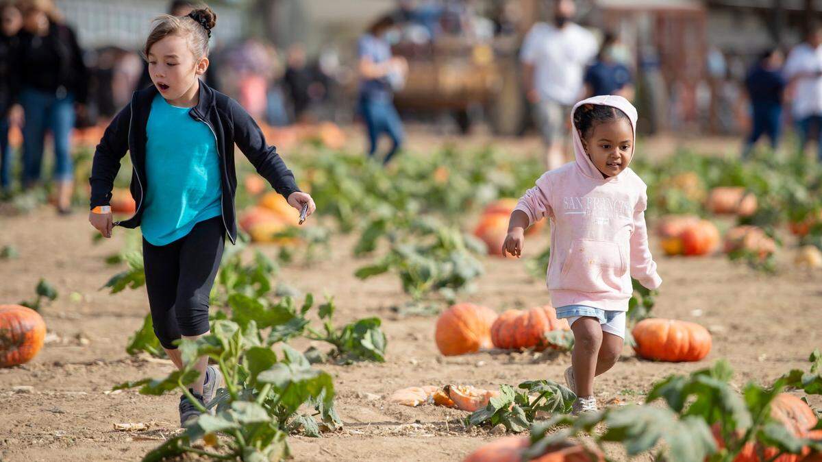 Serenity, 8, of Stockton, and her cousin Neylani, 3, run through the pumpkin patch in search of a pumpkin at Daves Pumpkin Patch in West Sacramento on Sunday, Oct. 17, 2021.