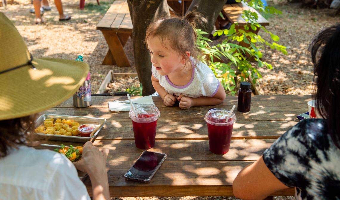 Alicia Hernandez. 3, scopes out the food while sitting with family under fruit trees on the patio at Tree House Cafe in West Sacramento on Wednesday, Aug. 11, 2021.