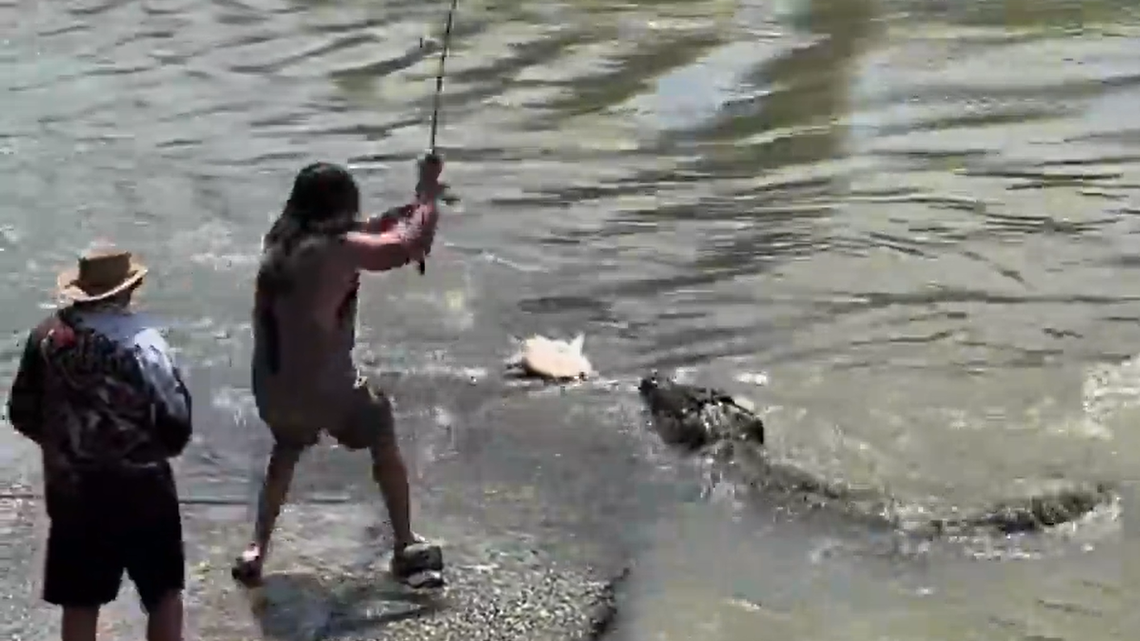 The angler, identified as Scott Roscarel, kept the fish and the video ends with the frustrated crocodile sitting on the boat ramp, refusing to go back in the water.