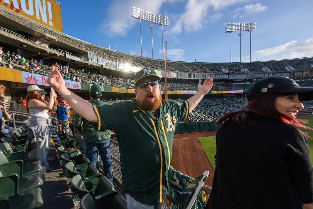 Will MacNeil, a 20-year season ticket holder, throws his arms up after an Athletics home run against the Tampa Bay Rays on Aug. 21 at the Oakland Coliseum.