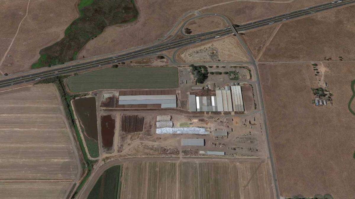Sacramento County Sheriff’s homicide detectives are investigating a scene at a dairy farm along Arno Road and Highway 99 where a body was discovered Wednesday, January 22, 2020. Itâs unknown how long the victim had been there.