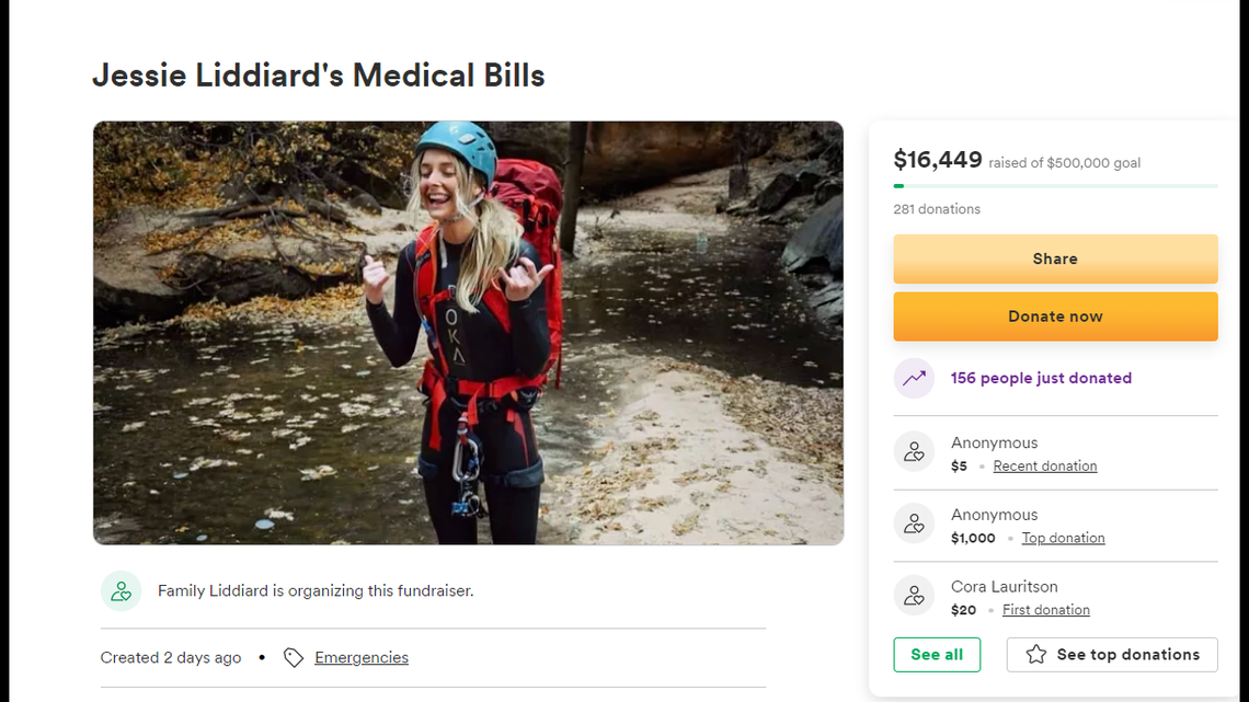 Jessie Liddiard, who was hiking in Hellgate Cliffs, was critically injured after a volleyball-sized rock fell and hit her head, Utah officials say.