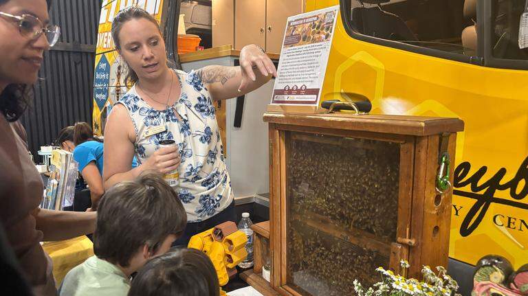 Buzzing around the California Honey Festival: Learn about bees, snack on honeycomb